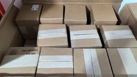 Honeywell FS24X Flame Detector